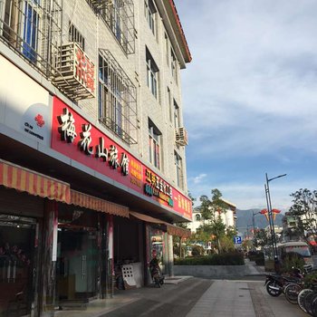 上杭古田梅花山旅馆酒店提供图片