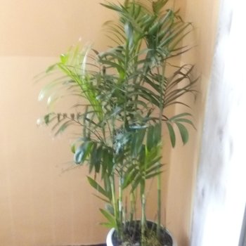 铜仁福源公寓酒店提供图片