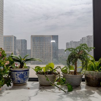 成都雅轩民宿(二段辅路分店)酒店提供图片