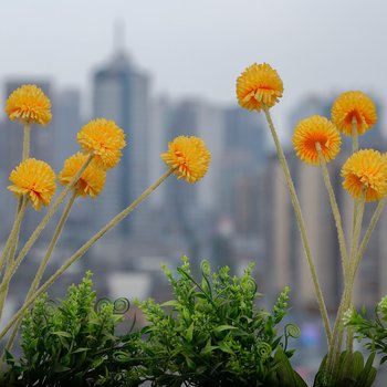成都北欧温馨小居春熙路太古里双地铁普通公寓酒店提供图片