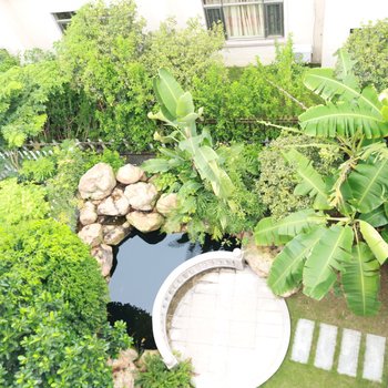 广州碧桂园旅游度假村酒店提供图片