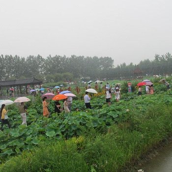 洪泽县百度宾馆酒店提供图片