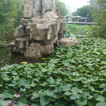锦海自助公寓(日照国家森林公园店)
