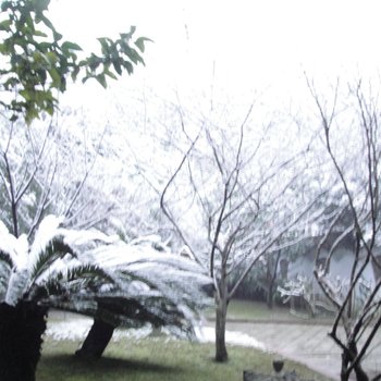 邛崃瑞园度假村酒店提供图片