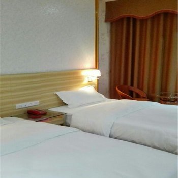 天等县嘉豪商务酒店酒店提供图片