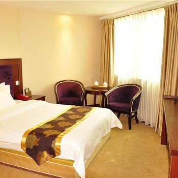 南充蓬安县品合中天大酒店酒店提供图片