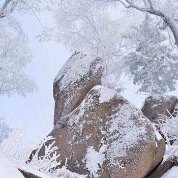 雪乡二浪河富宝家庭旅馆酒店提供图片