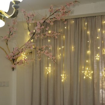 重庆chen海林特色民宿(新华路分店)酒店提供图片