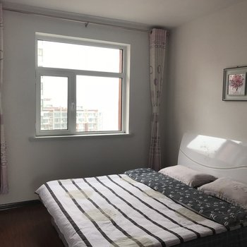 衡水喜达屋公寓(新华西路分店)酒店提供图片