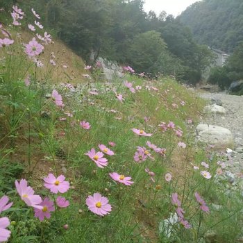 神农架林区木鱼镇摇篮湖山庄客栈酒店提供图片