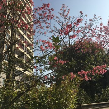 韶关蓝精灵民宿酒店提供图片