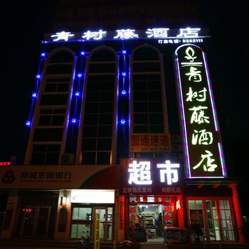 聊城青树藤酒店(汽车总站店)酒店提供图片