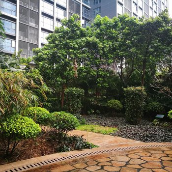 深圳碧海秋月公寓(4号店)