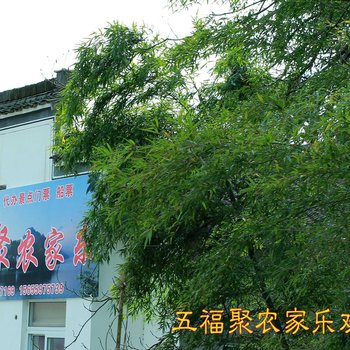 歙县深渡五福聚农家乐酒店提供图片