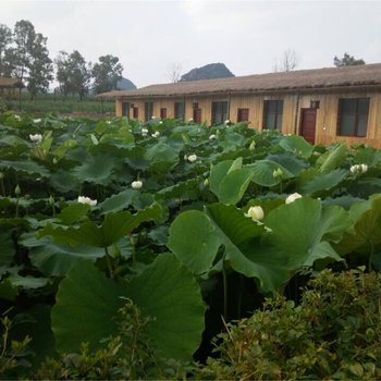 丘北原始部落荷篱茅舍酒店提供图片