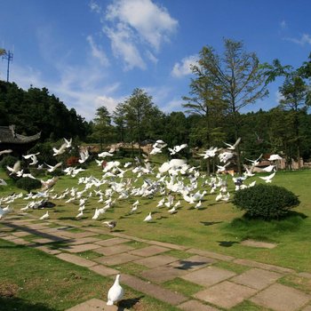 奉化商量岗旅游度假村酒店提供图片