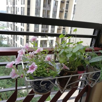 重庆时光里的燕窝住宿