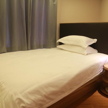 雅愉精品酒店(上海外滩南京东路店)酒店提供图片