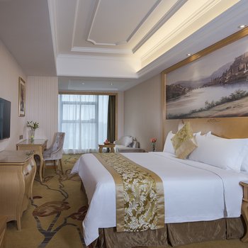 维也纳国际酒店(湘潭中心店)酒店提供图片