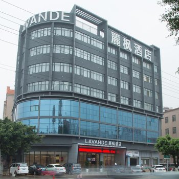 麗枫酒店(佛山南海大沥新都会店)