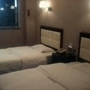 武强亚特商务酒店酒店提供图片