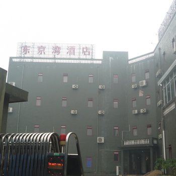 东兴东京湾酒店酒店提供图片