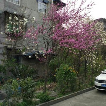 成都民宿520(玉府路分店)酒店提供图片