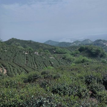 信阳梅岭山庄酒店提供图片