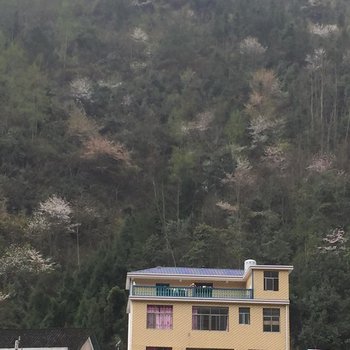 桑植良辰山庄酒店提供图片