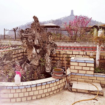 都江堰刘小牛青年旅舍