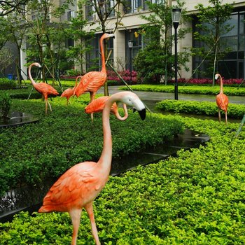 广州长隆高喜度假公寓酒店提供图片