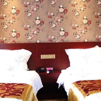 百色田州印象酒店酒店提供图片