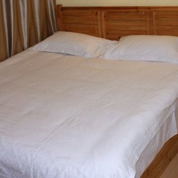 汕头龙湖梧桐住宿酒店提供图片