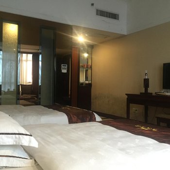 海丰帝豪大酒店酒店提供图片