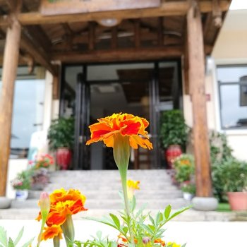 武夷山武夷山橙心小筑茗宿客栈