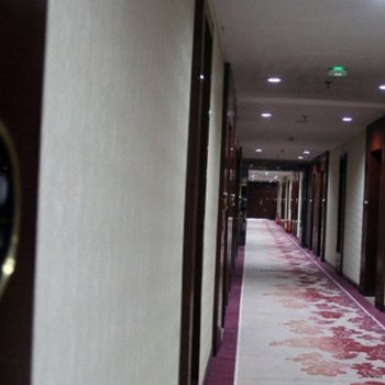 伊金霍洛旗唯宾国府国际酒店酒店提供图片