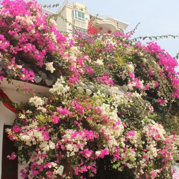 三亚盛夏光年客栈