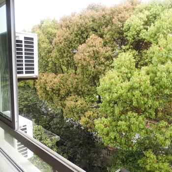 上海半岛婷苑别墅民宿酒店提供图片