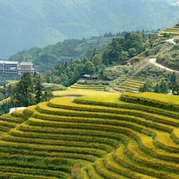 龙胜龙脊梯田锦福酒店