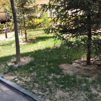 ��ƽ�κ��깫Ԣ�Ƶ��ṩͼƬ