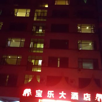 勐腊宝乐大酒店酒店提供图片