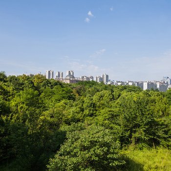 贵阳观山听雨两套短租公寓酒店提供图片