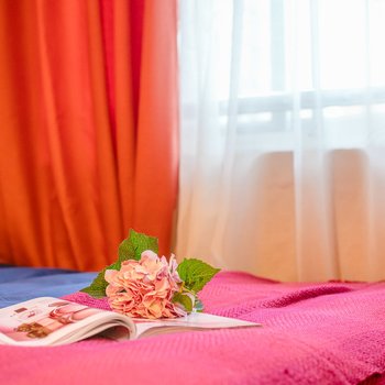 成都DARK GREEN-家普通公寓(蜀都大道店)酒店提供图片