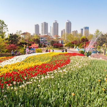 日照紧邻万平口风景区和海鲜大市场的海景房普通公寓酒店提供图片