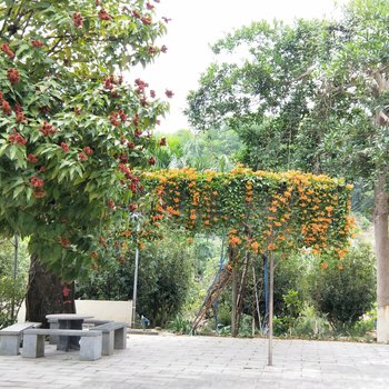 广州温先森特色民宿酒店提供图片