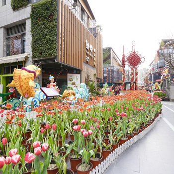 成都如心精选公寓酒店提供图片