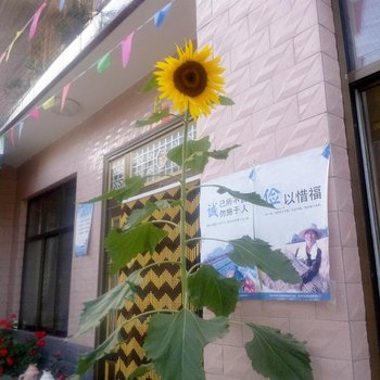 天水麦积山恒源顺农家小院酒店提供图片