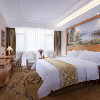 维也纳国际酒店(普宁国际商品城店)酒店提供图片