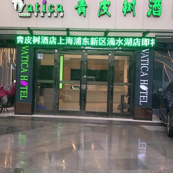 青皮树酒店(上海浦东新区滴水湖店)酒店提供图片