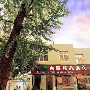 嘉兴银杏白露精品酒店(原丹枫白露精品酒店)